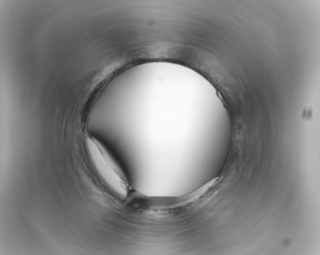 X0000093770164200711131220