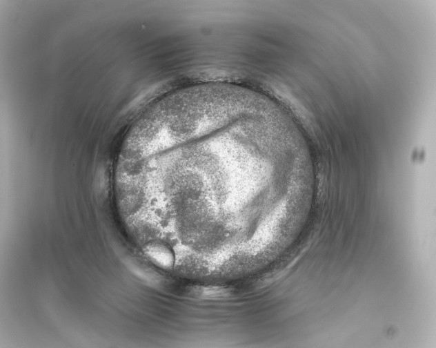 X0000093770165200711131220