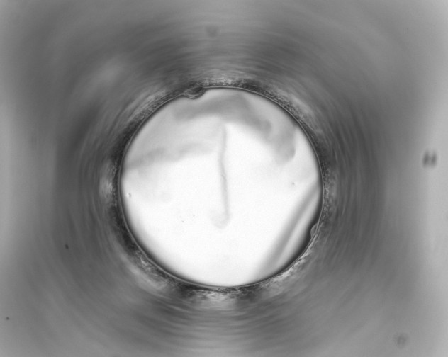 X0000093770166200711131220