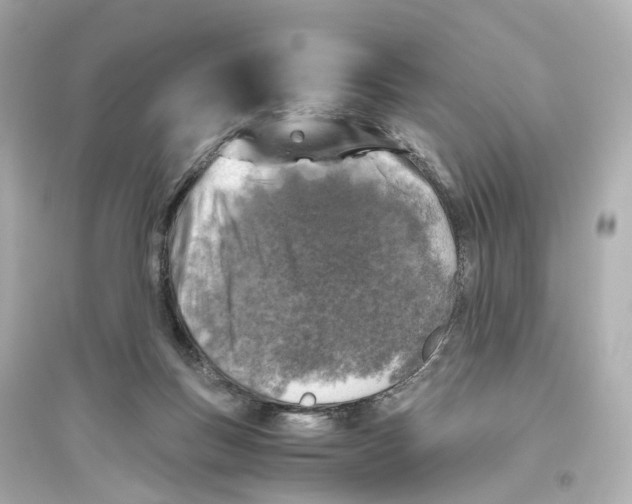 X0000093770167200711131220