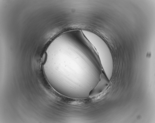 X0000093770168200711131220