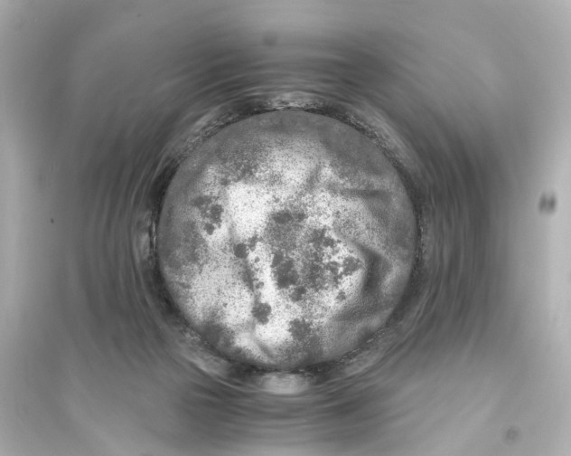 X0000093770169200711131220