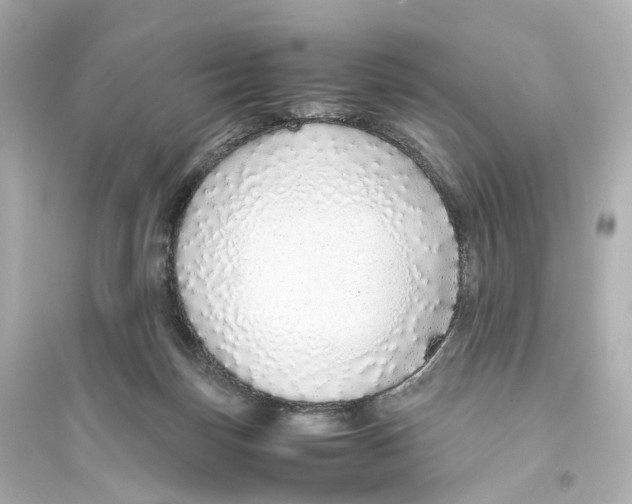 X0000093770171200711131220