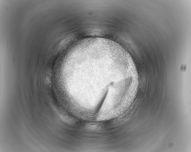 X0000093770175200711131220