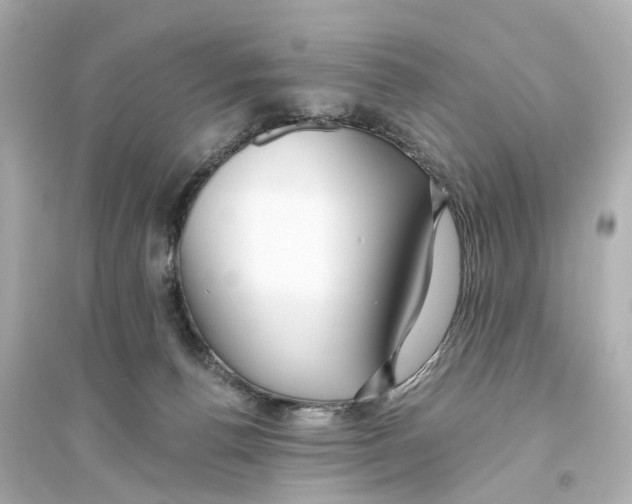 X0000093770176200711131220