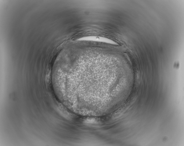 X0000093770177200711131220