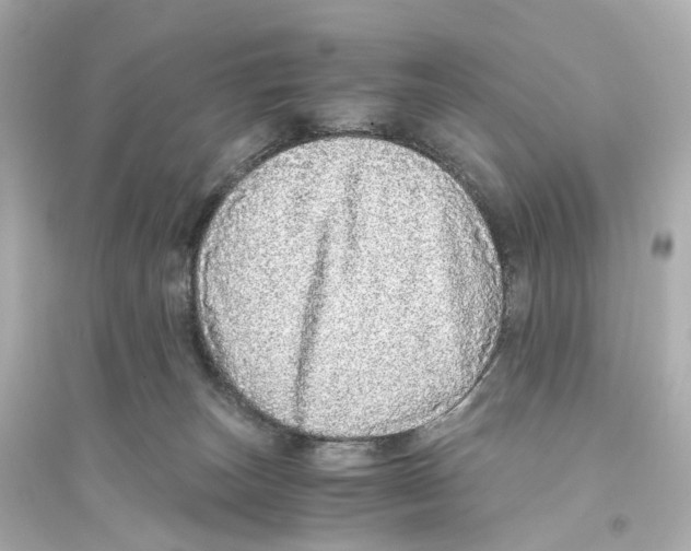 X0000093770179200711131220