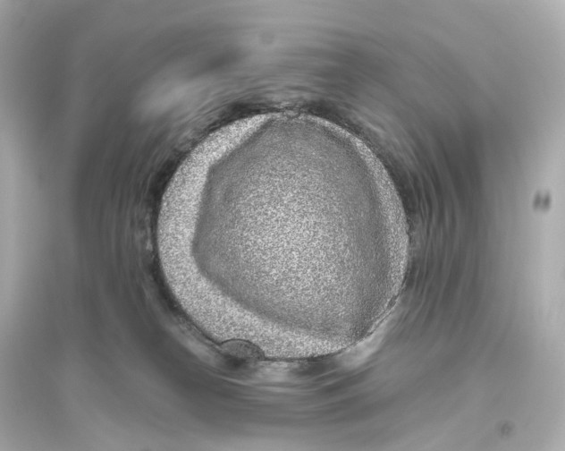 X0000093770182200711131220