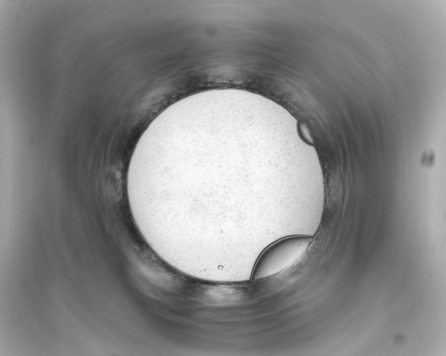 X0000093770183200711131220