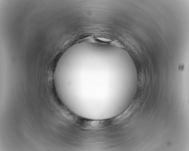 X0000093770184200711131220