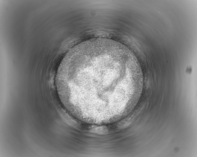 X0000093770185200711131220