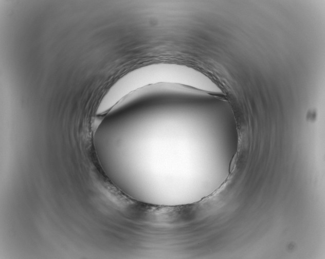 X0000093770186200711131220