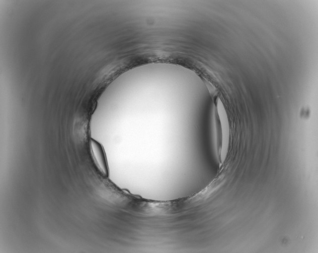 X0000093770188200711131220