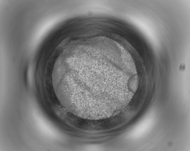 X0000093770189200711131220