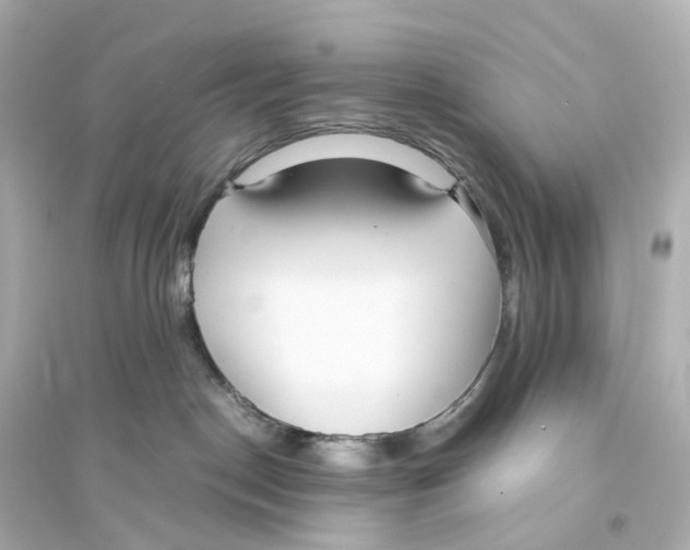 X0000093770190200711131220