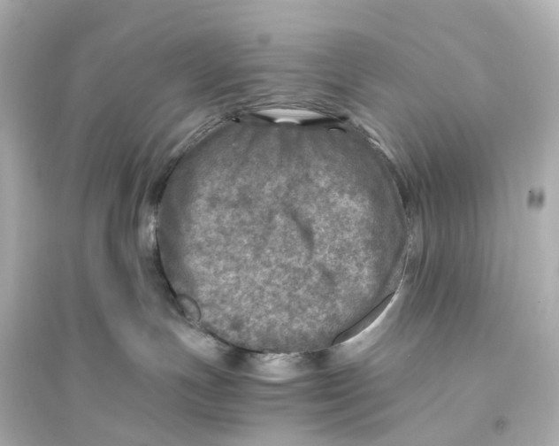 X0000093770191200711131220