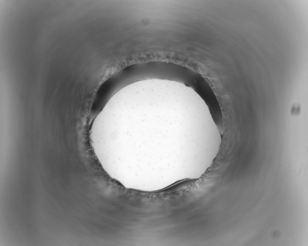 X0000093770192200711131220