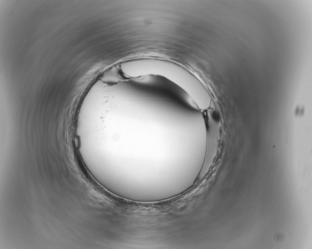 X0000093770193200711131219