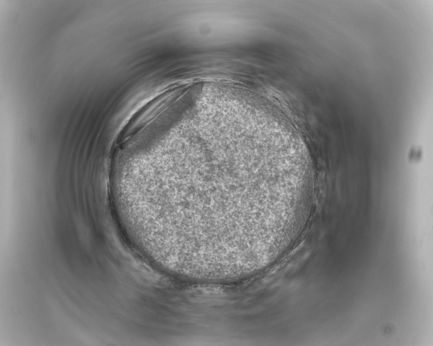 X0000093770194200711131219