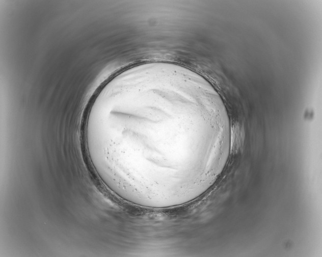 X0000093770195200711131219