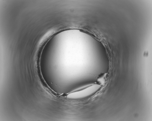 X0000093770197200711131219