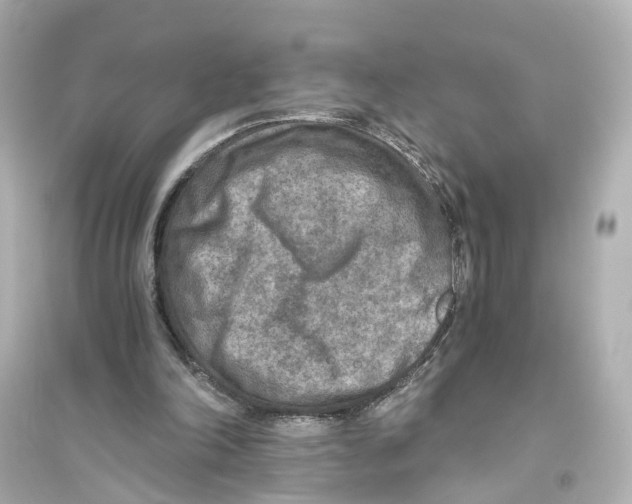 X0000093770198200711131219