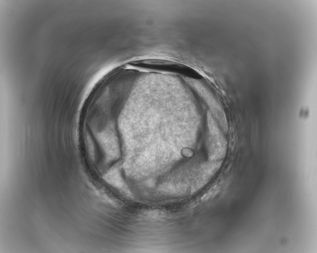 X0000093770200200711131219