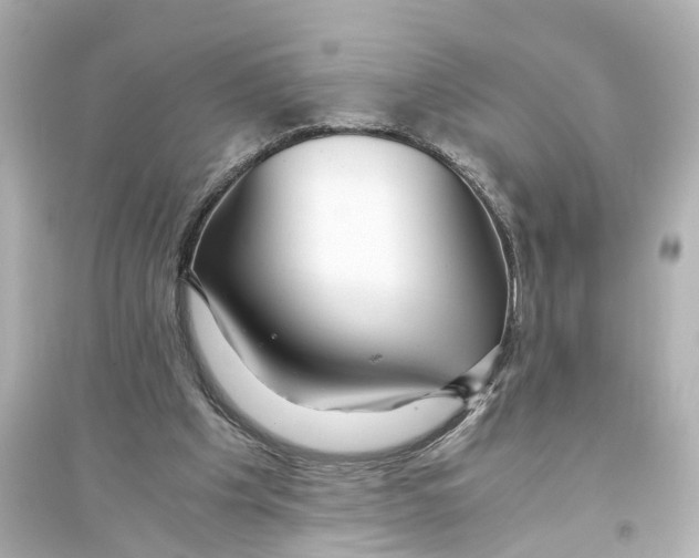 X0000093770201200711131219