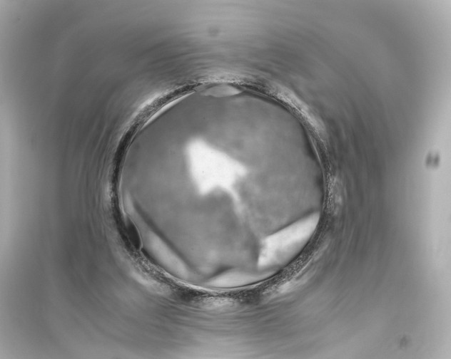 X0000093770203200711131219