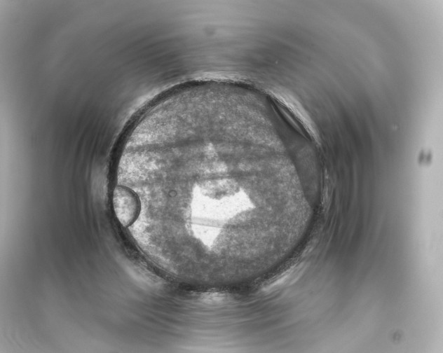 X0000093770204200711131219