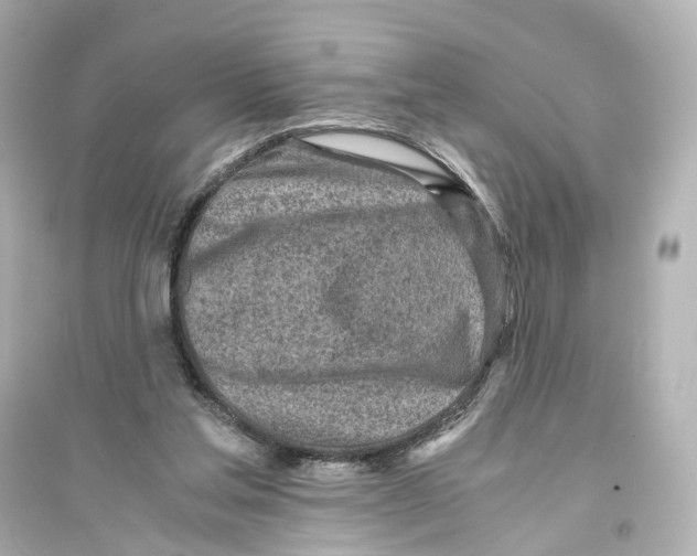 X0000093770205200711131219