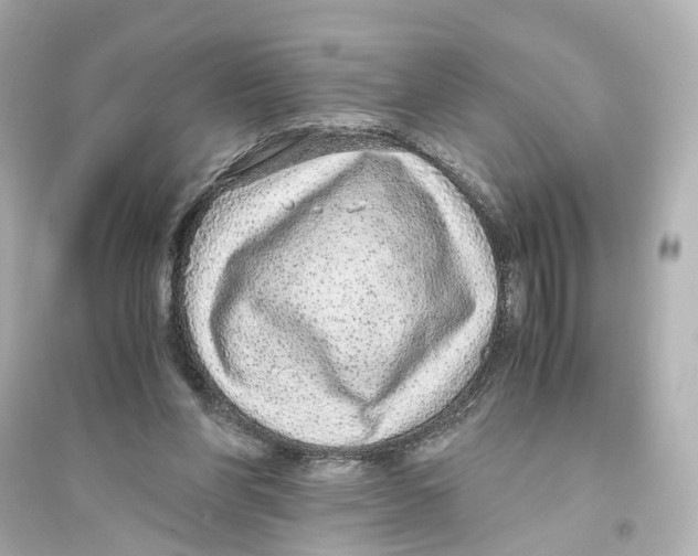 X0000093770206200711131219