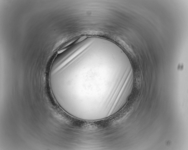 X0000093770207200711131219