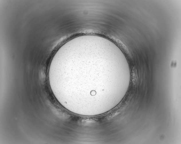 X0000093770208200711131219