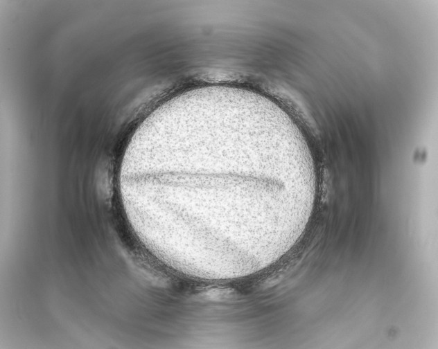 X0000093770210200711131219