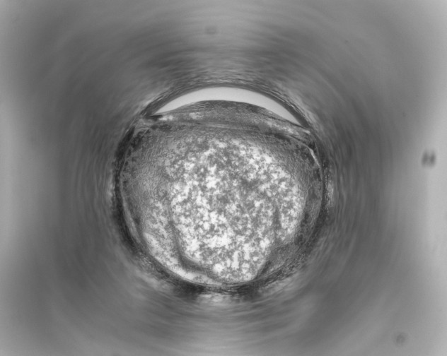 X0000093770211200711131219