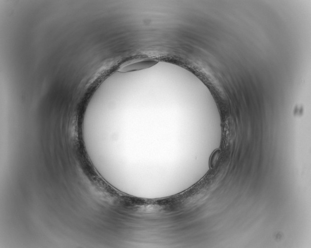 X0000093770212200711131219