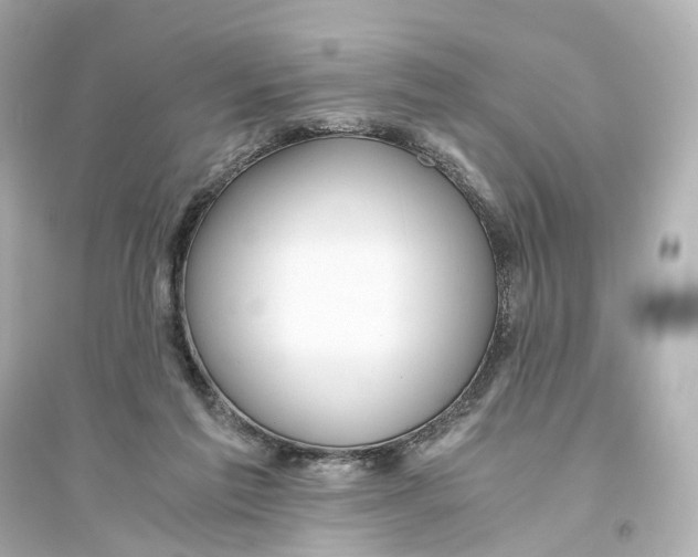 X0000093770213200711131219