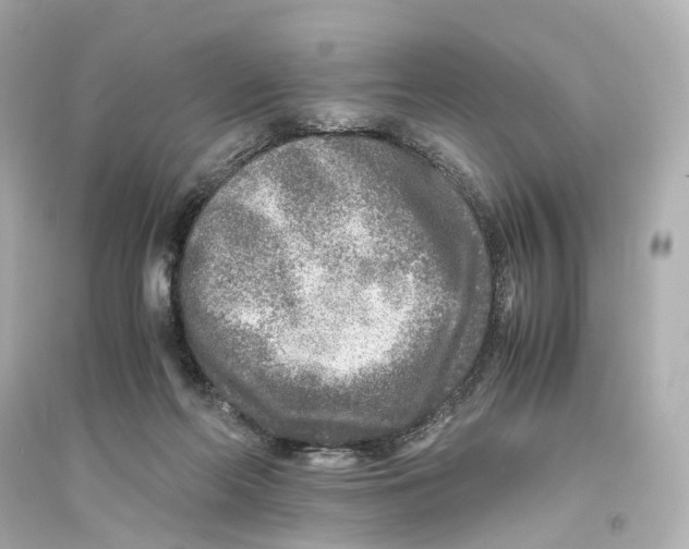 X0000093770214200711131219