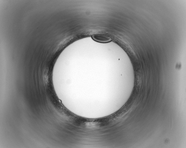 X0000093770216200711131219