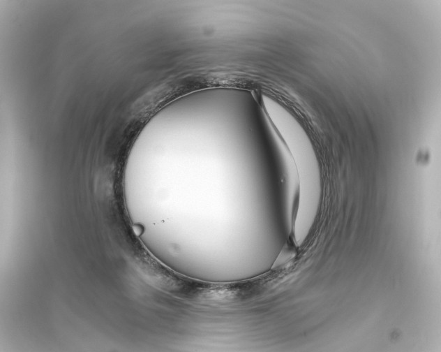 X0000093770217200711131219