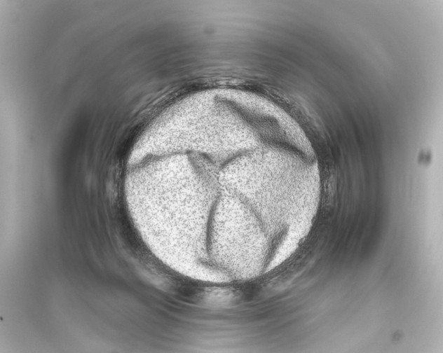 X0000093770218200711131219