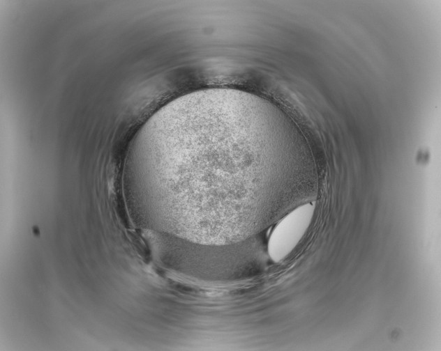 X0000093770219200711131219