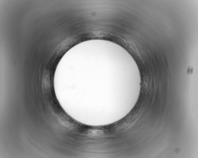 X0000093770220200711131219