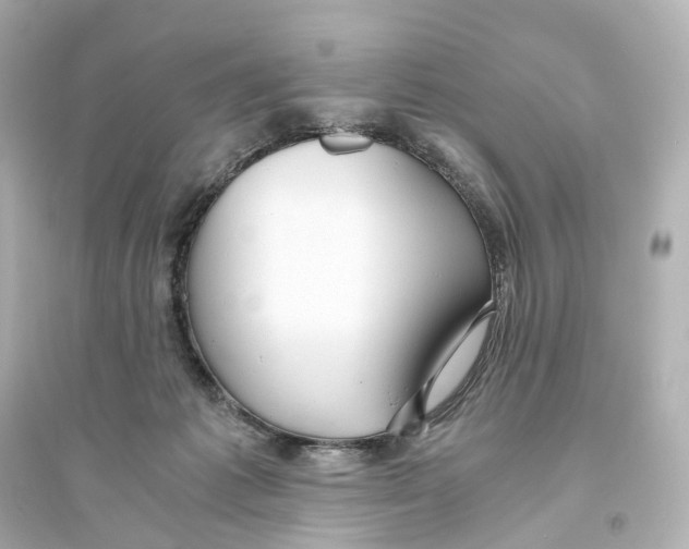 X0000093770221200711131219