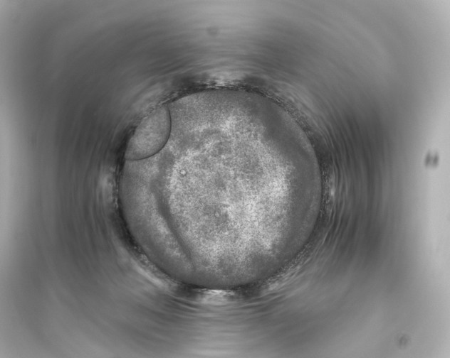 X0000093770222200711131219