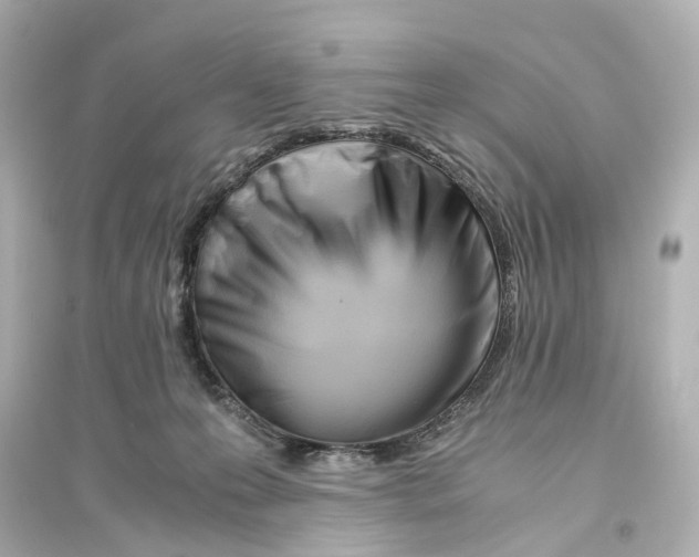 X0000093770223200711131219