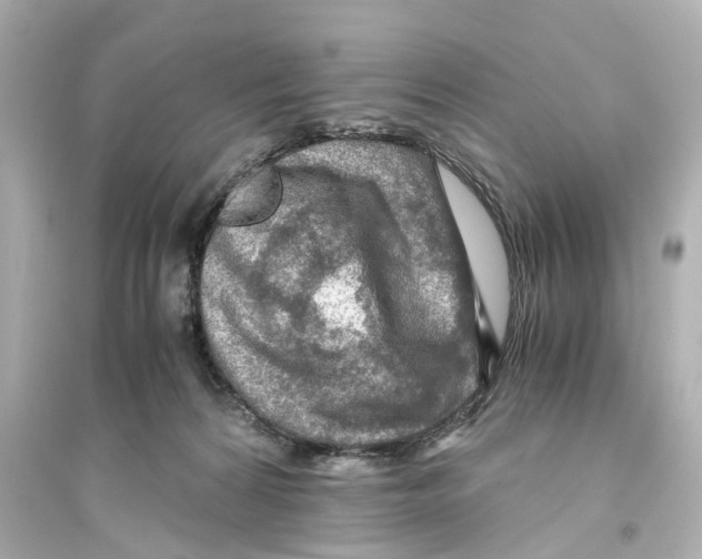 X0000093770224200711131219