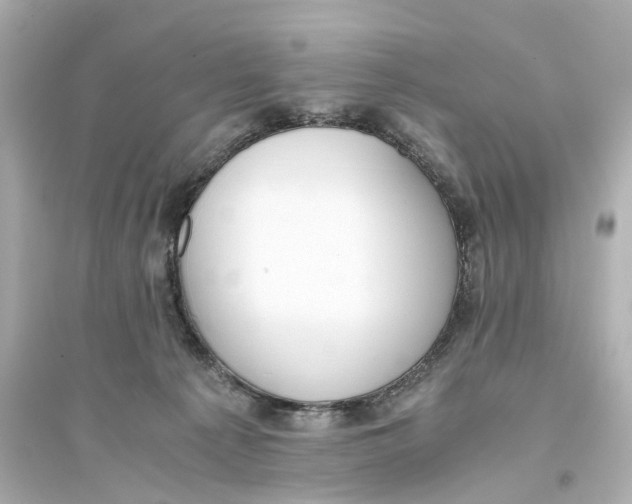 X0000093770225200711131219