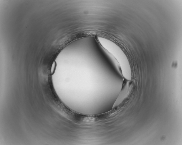 X0000093770227200711131219